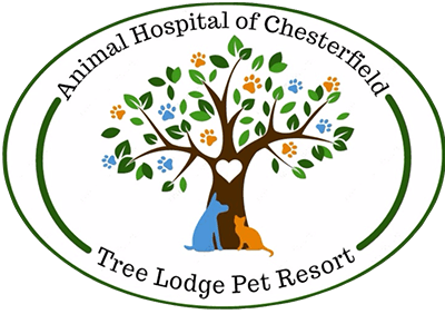 Full Veterinary Service Clinic Animal Hospital of Chesterfield