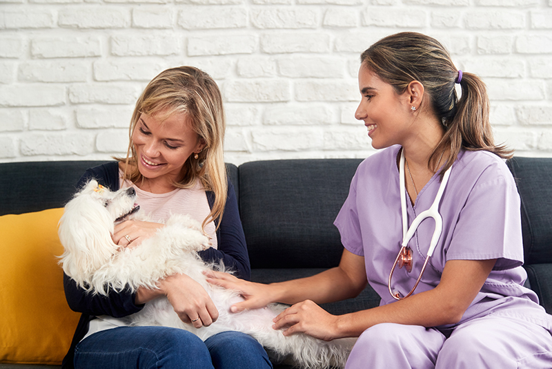 benefits of in-home veterinary care